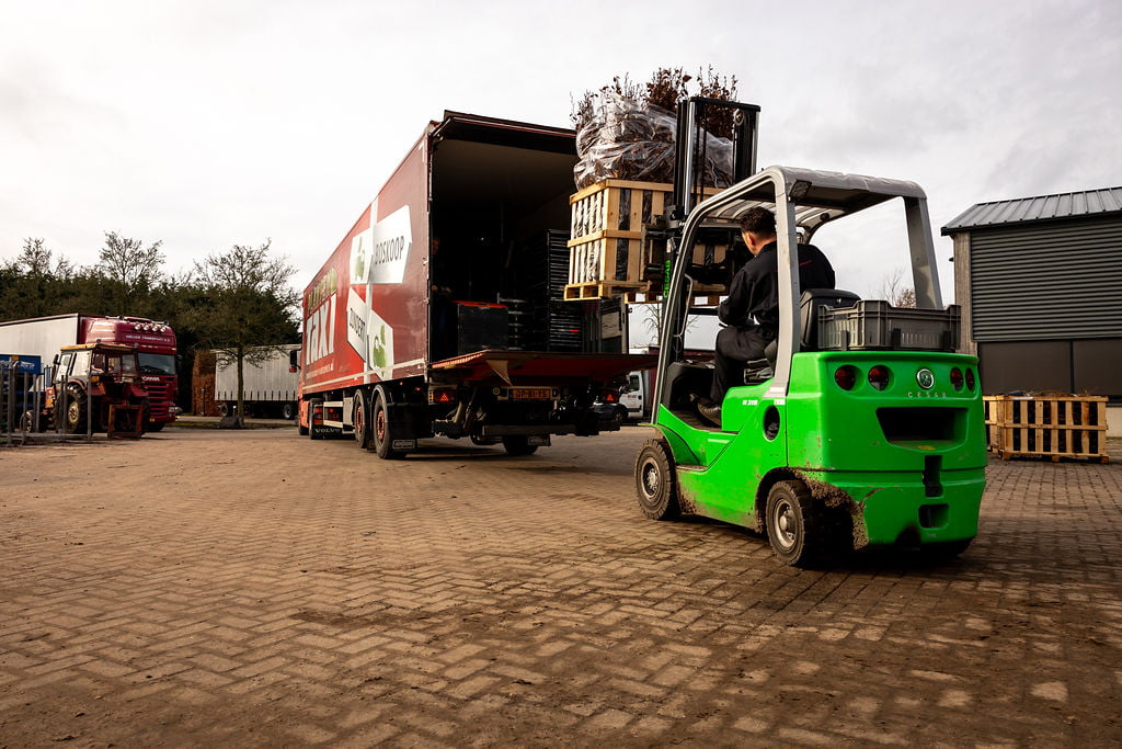 snelle-levering-heftruck-verpakt-planten