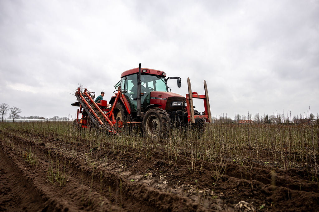 tractor in bed met tussenrij uitrijder